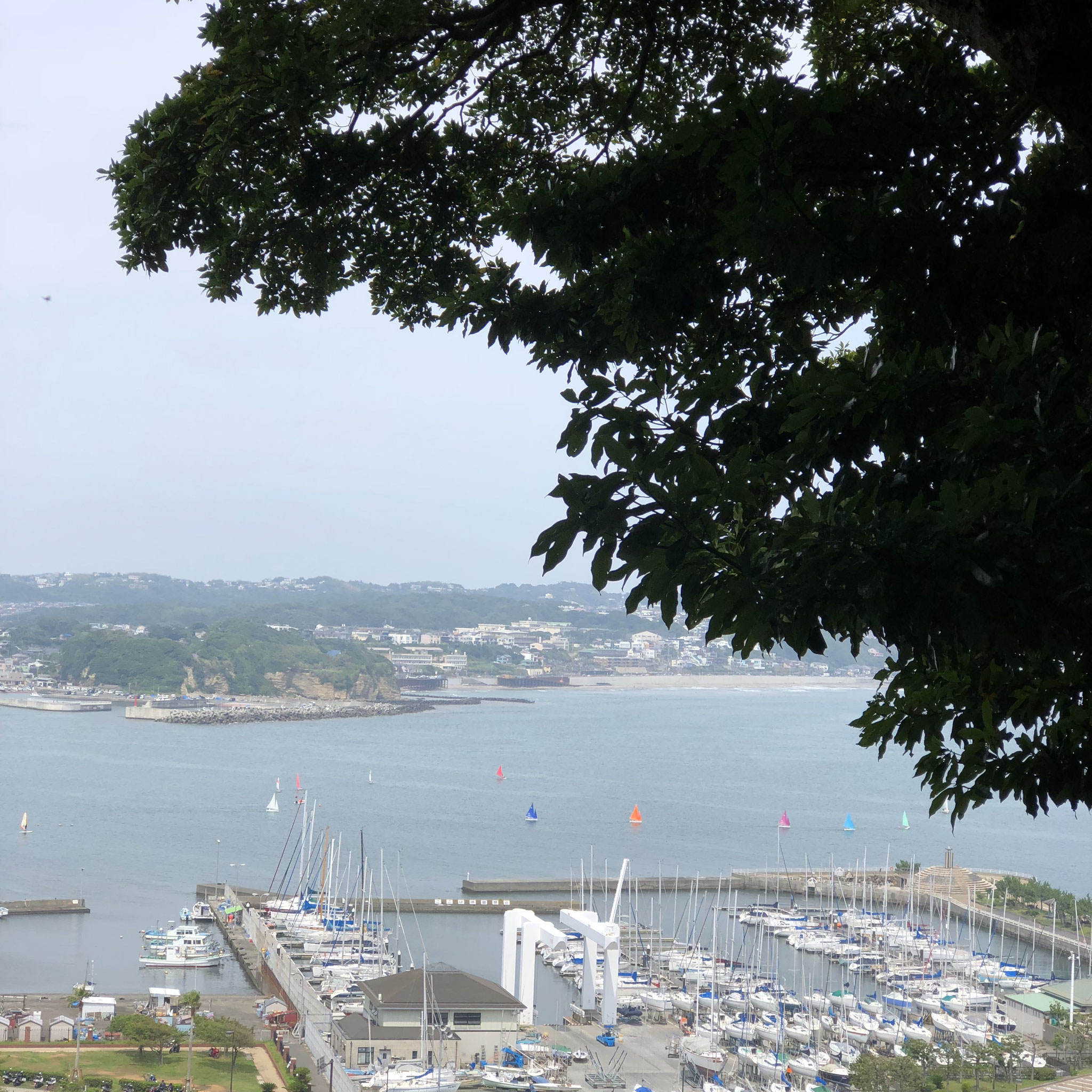 ★休日のひとコマ★